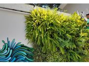 Serviço de Jardineiro na Região de Maracaí