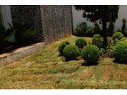 Empresa de Paisagismo no Centro de Assis