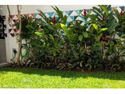 Serviço de Reforma de Jardim Próximo a Cândido Mota