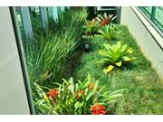 Jardinagem e Paisagismo Próximo a Tarumã