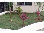 Orçamento para Jardinagem Próximo a Tarumã