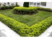 Serviço de Paisagismo e Jardinagem em Assis