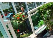 Especialista em Paisagismo e Jardinagem em Cândido Mota SP