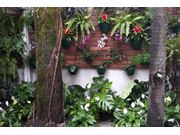 Orçamento para Jardim de Inverno na Vila Operária