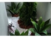 Especialista em Jardim de Inverno no Centro de Cândido Mota