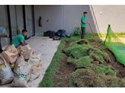 Plantio de Grama no Centro de Paraguaçu Paulista