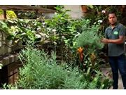 Contratar Paisagismo e Jardinagem Próximo a Assis