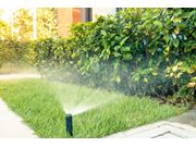 Sistema de Irrigação Automática Próximo a Assis