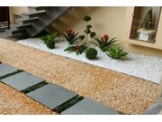 Jardim de Inverno Próximo a Cândido Mota