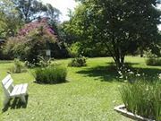 Paisagismo e Jardinagem no Campo Grande