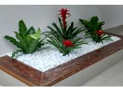 Orçamento com Jardineiro em Assis