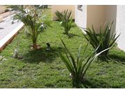 Especializado em Paisagismo em Assis SP