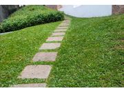 Especializado em Jardinagem em Cândido Mota