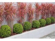 Empresa de Jardinagem em Echaporã SP